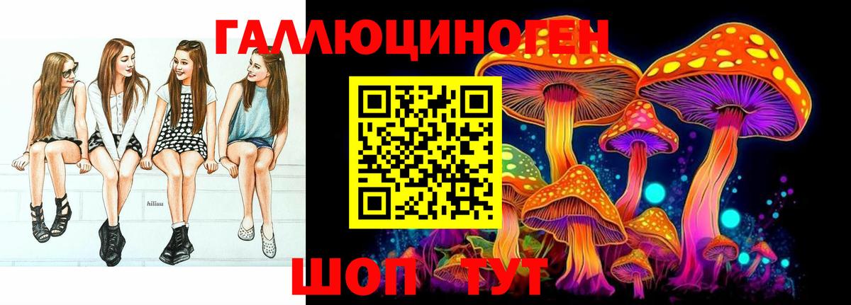 Губкинский  Псилоцибиновые грибы мухоморы  Вход с VPN  Галлюциногенные грибы прущие грибы 